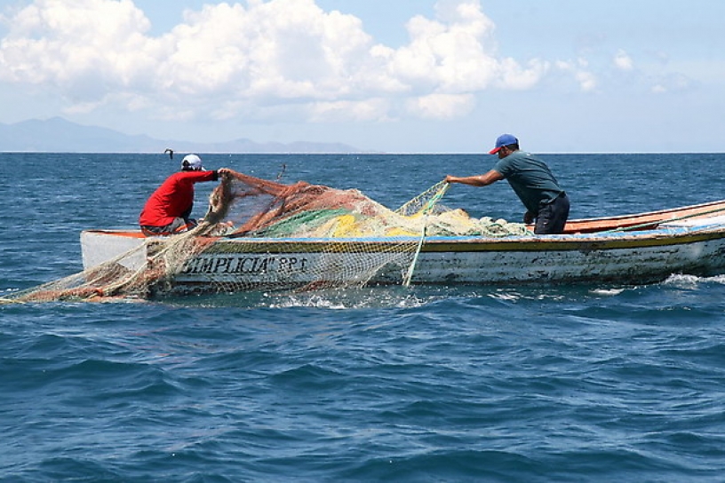 Trabajadores Pesqueros: “En dos años perdimos 2000 puestos de trabajo gracias a la ley Longueira”