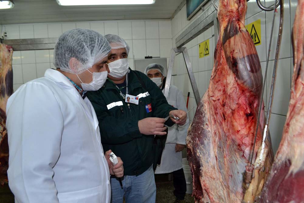 Seremi de Salud y SAG refuerzan fiscalización a carnicerías y entregan recomendaciones para fiestas patrias