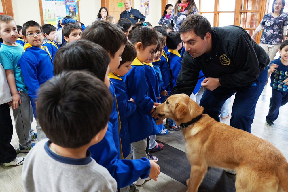 Pequeños de la Escuela de Lenguaje Nuevo Sol disfrutaron visita de Canes Adiestrados de Gendarmería