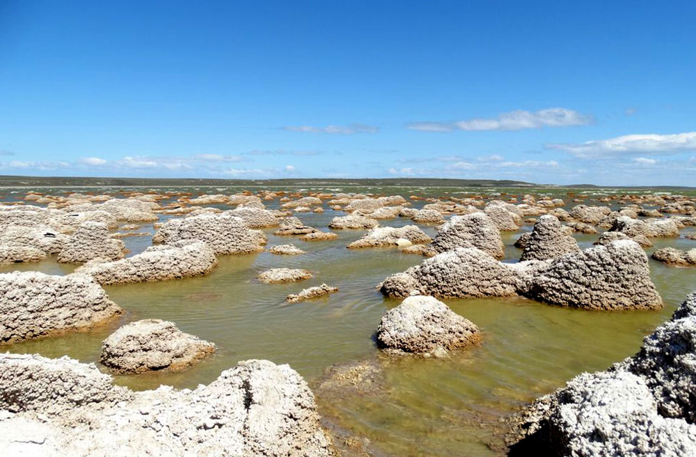 Incorporando Geositios a la red de circuitos turísticos y de investigación científica: “La importancia Geo-biológica de Laguna Los Cisnes en Porvenir”