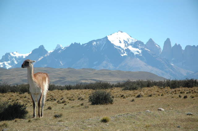CONAF expulsó a visitantes brasileños del Parque Nacional Torres del Paine