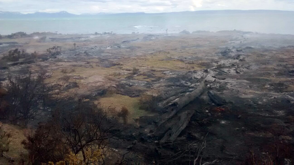 CONAF Magallanes informa situación de incendios forestales en la región 21/1/16