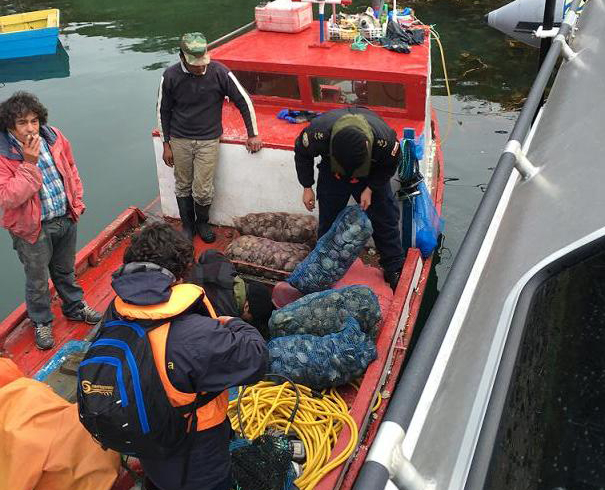 Importante fiscalización de embarcaciones pesqueras en Porvenir dejó 15 citaciones a tribunales