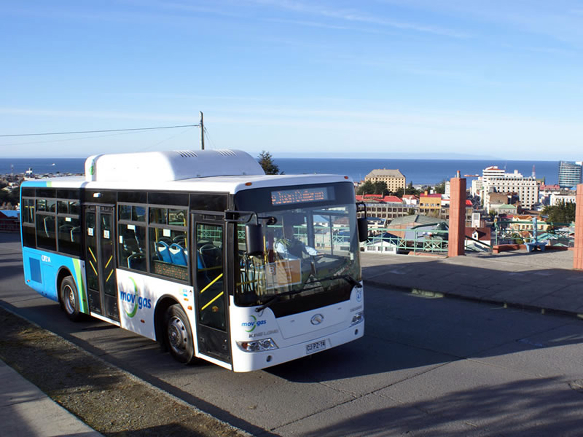 Sistema de buses de transporte público de Punta Arenas