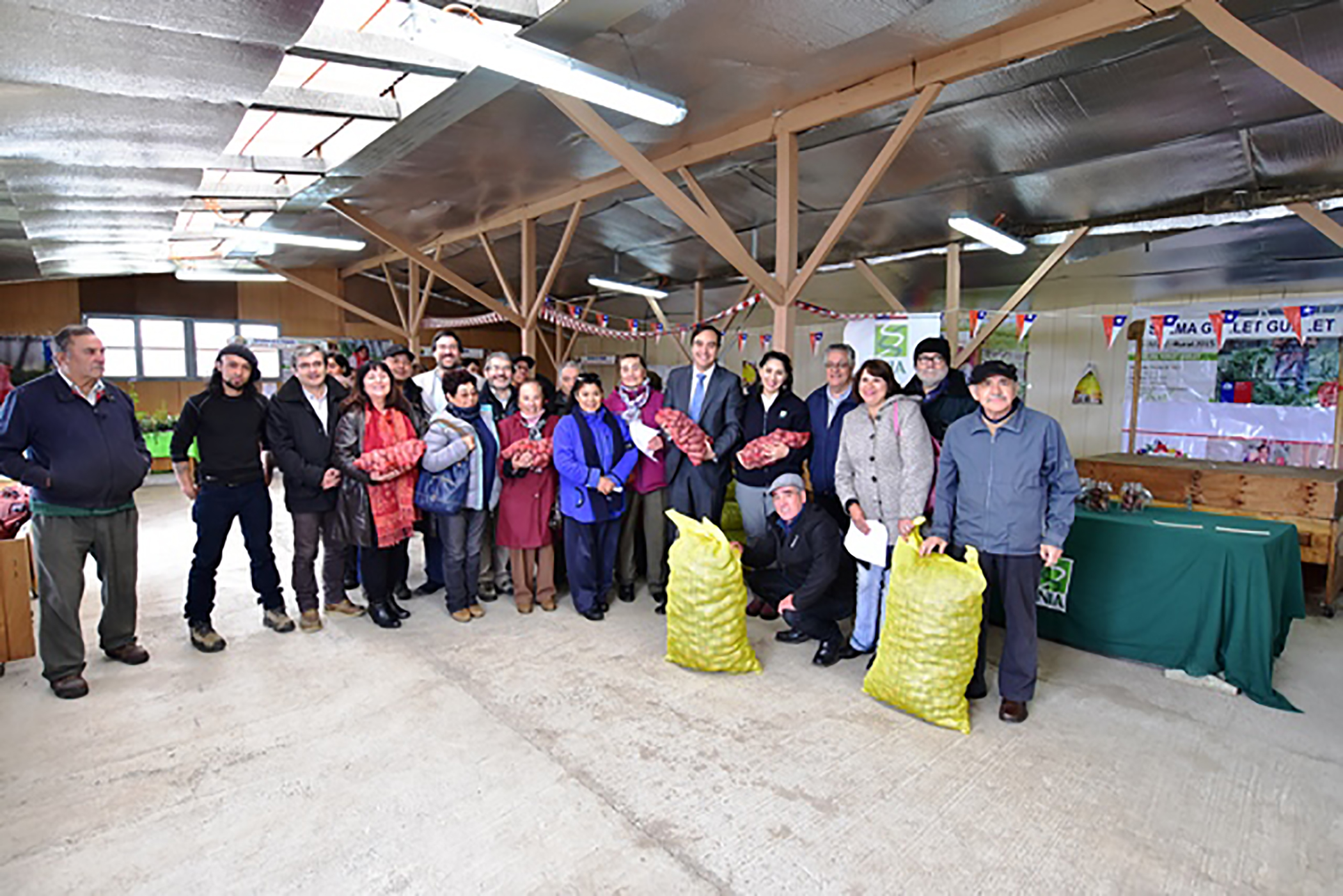 Agricultores de INDAP reciben semilla de papas certificadas para resistir las heladas
