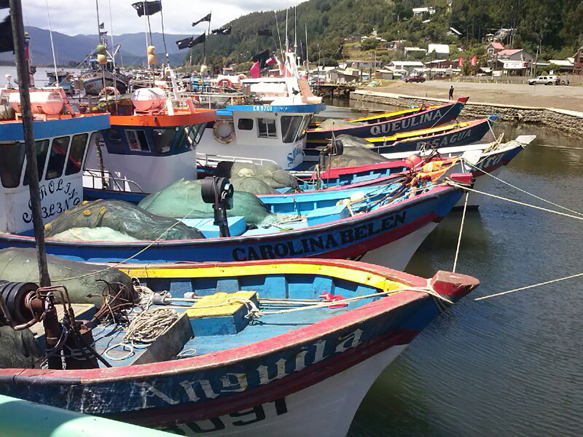 En Caleta Queule Condepp y Corfo dan inicio a programa de mejoramiento competitivo de la pesca artesanal