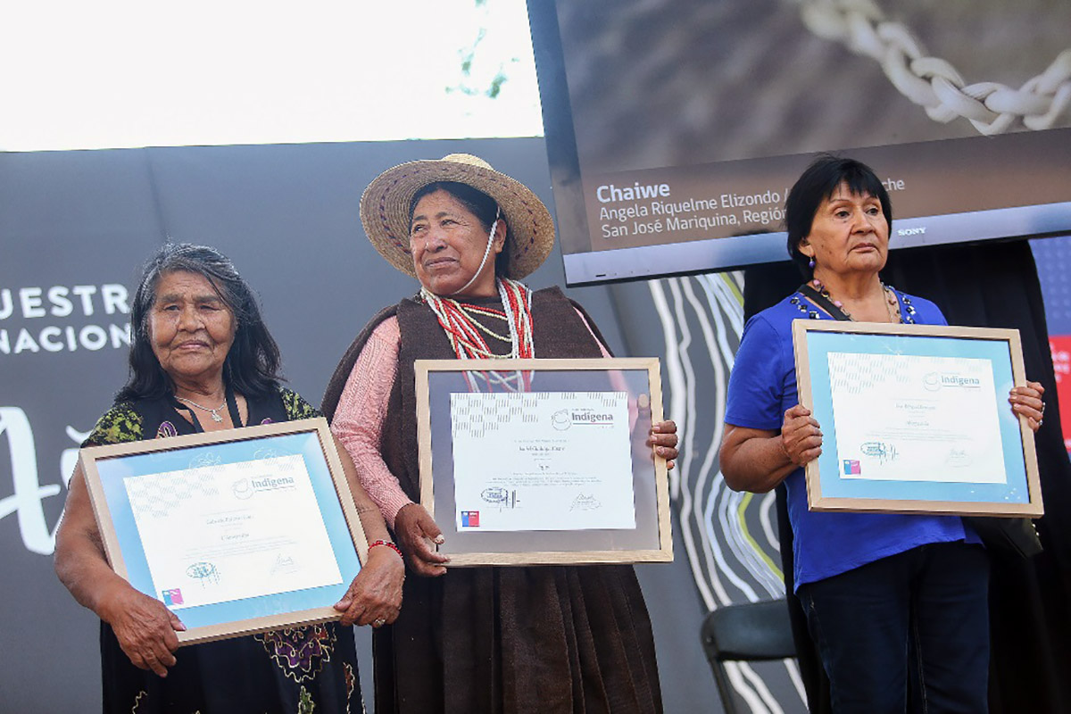 Pieza kawésqar entre las reconocidas por el Sello Artesanía Indígena