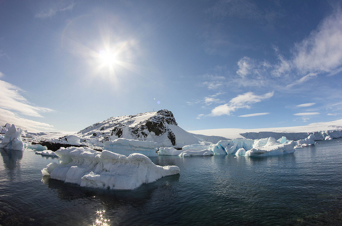 Estudian el efecto de la falta de vitamina D en habitantes de la Antártica