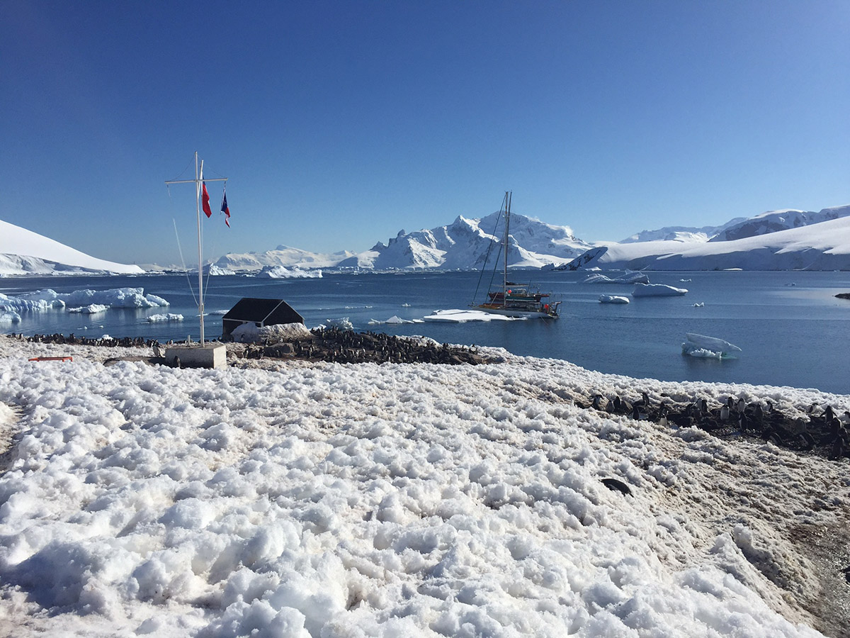 MOP construiría un muelle de 42 metros de extensión en la Antártica