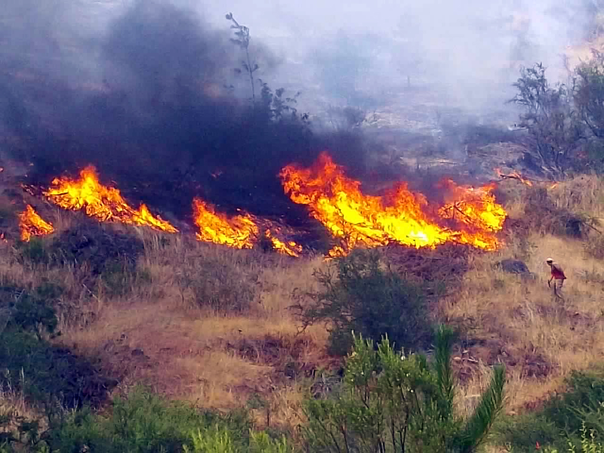 Este miércoles en la madrugada regresan los 21 brigadistas de incendios forestales de la región de Magallanes