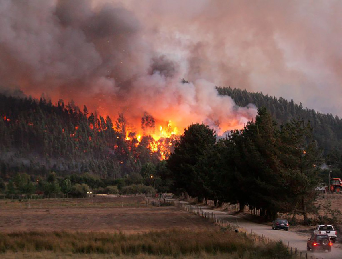 Existe preocupación en las autoridades tras estudio que revela  que el 50 por ciento de los incendios forestales en la región, han ocurrido en Punta Arenas