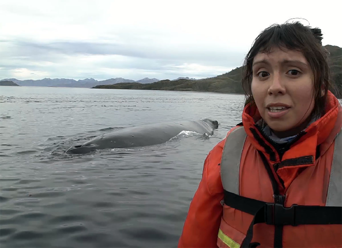 En isla Carlos III: Impresionante visita de ballena a expedición del Rainbow Warrior 