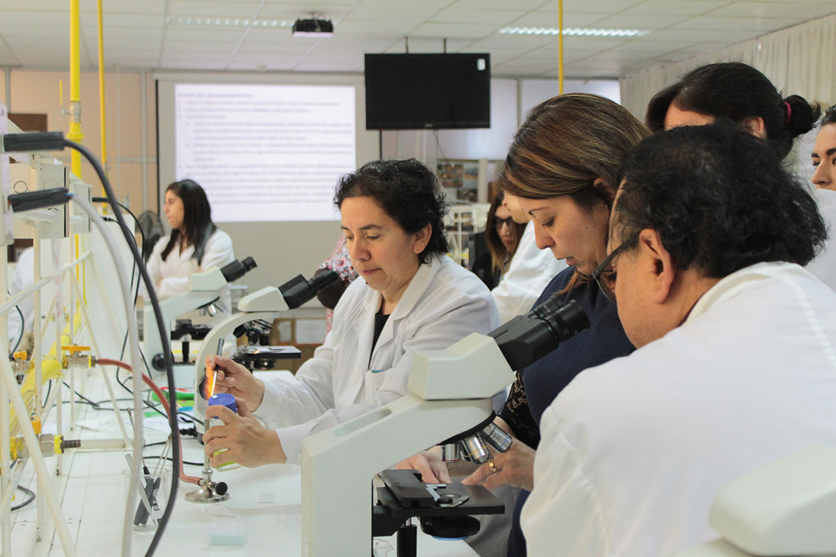 Docentes magallánicos participaron en capacitación sobre uso de microscopios