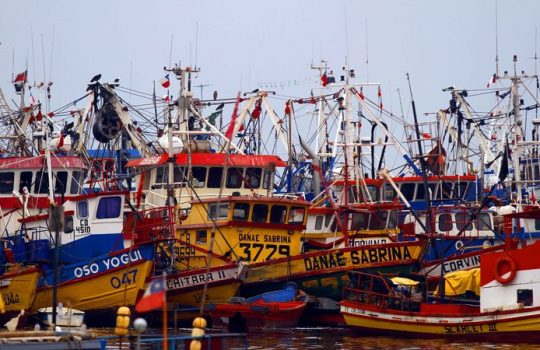 SERNAPESCA informa que 9 pesquerías en Chile están colapsadas o agotadas