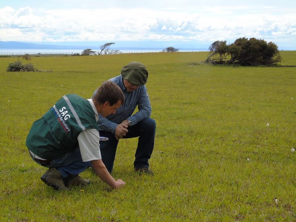 Proyectos y fondos para mejorar los suelos de la región de Magallanes