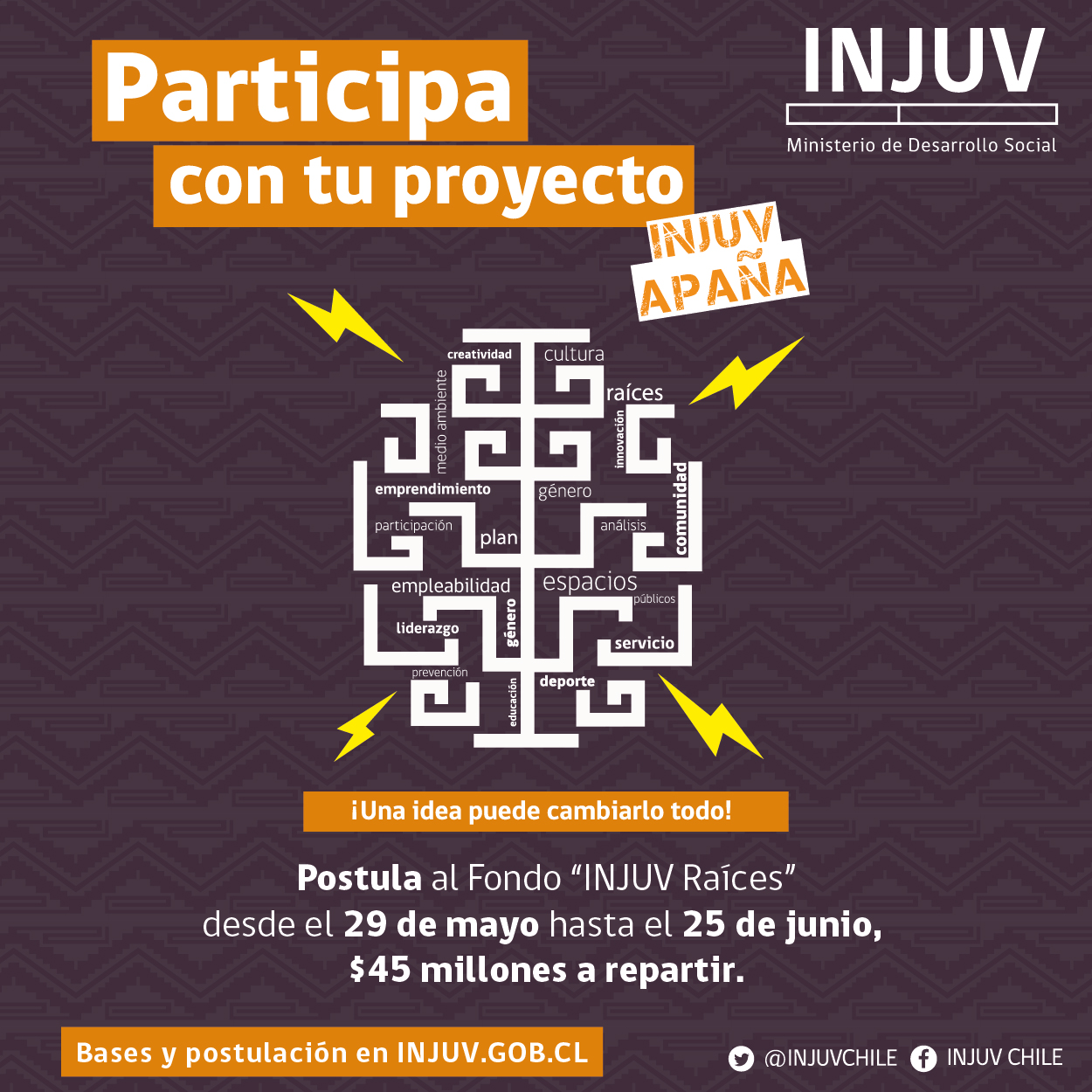 Fondo Raíces 2017 convoca a postular el INJUV Magallanes