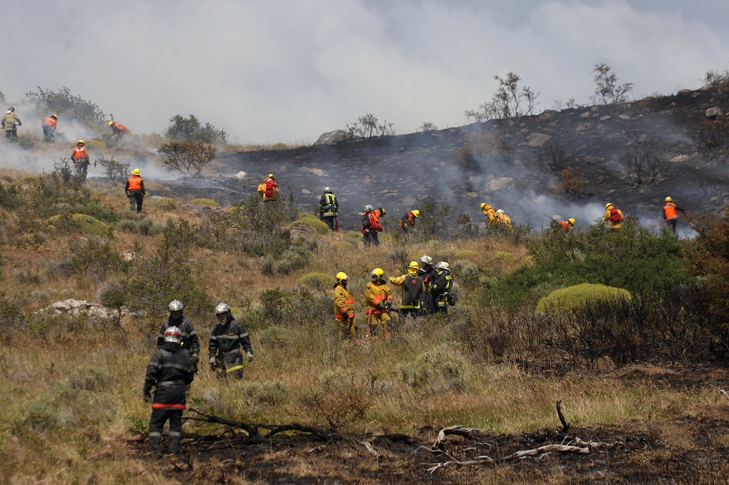 Chile y Argentina acuerdan acciones conjuntas para combatir incendios forestales en la Patagonia