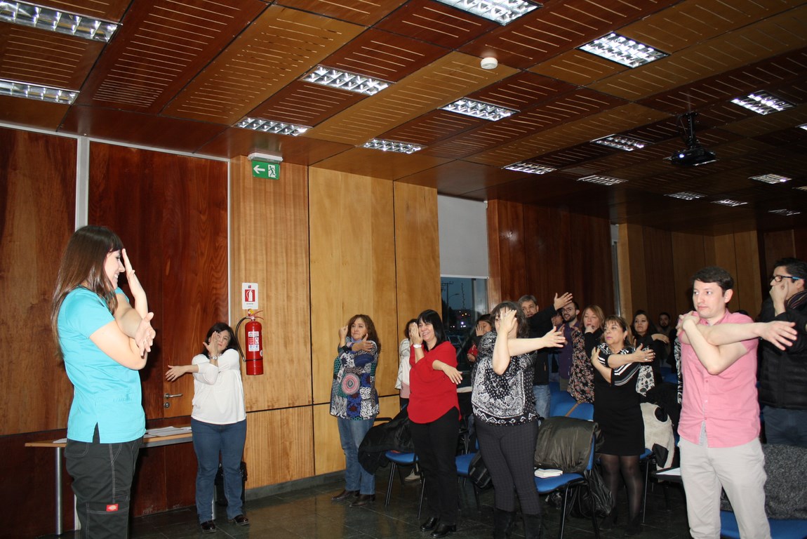 Jornada taller de Salud Mental se efectuó en Punta Arenas