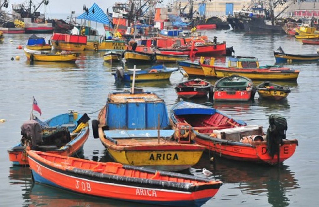 Pescadores artesanales de Arica reclaman “El Gobierno sigue generando políticas pesqueras para favorecer a la industria»