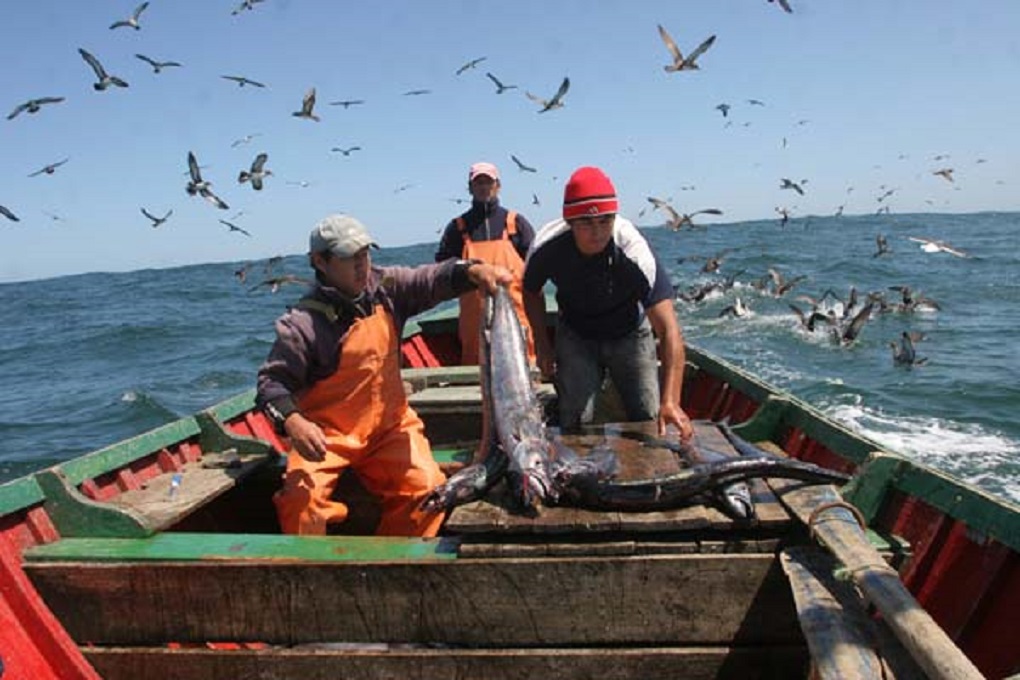 Dirigentes de la pesca artesanal insisten en la necesidad de derogar la Ley General de Pesca