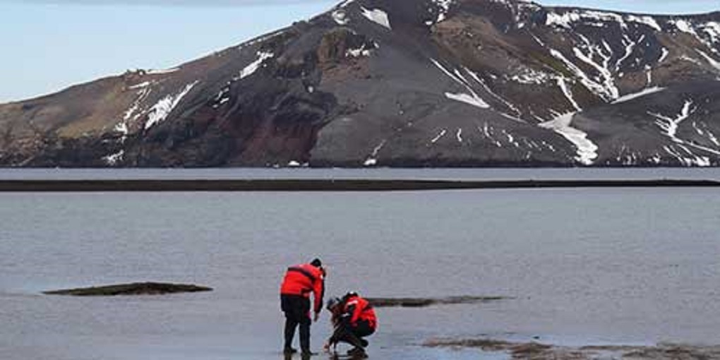 Científicos chilenos investigan efectos del cambio climático en los mares de Magallanes y la Antártica