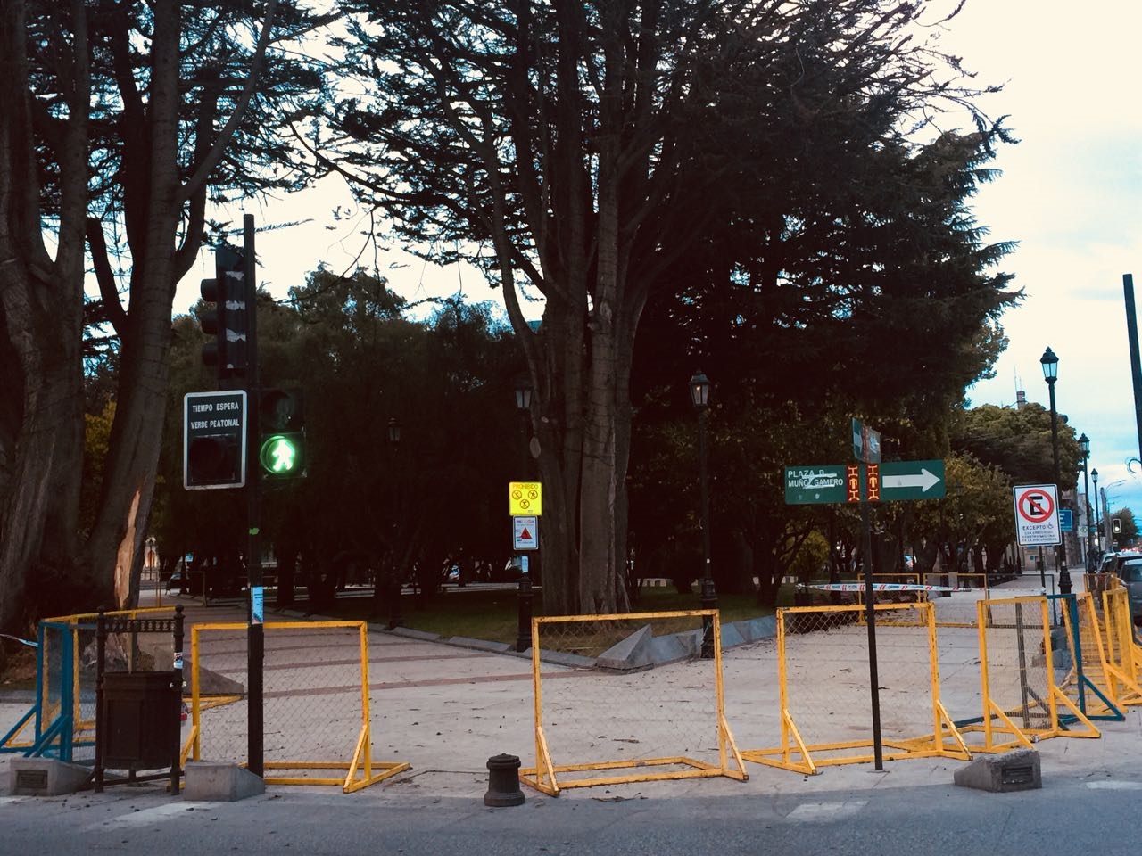 Cerrado el acceso a un sector de Plaza Muñoz Gamero por árboles en peligro