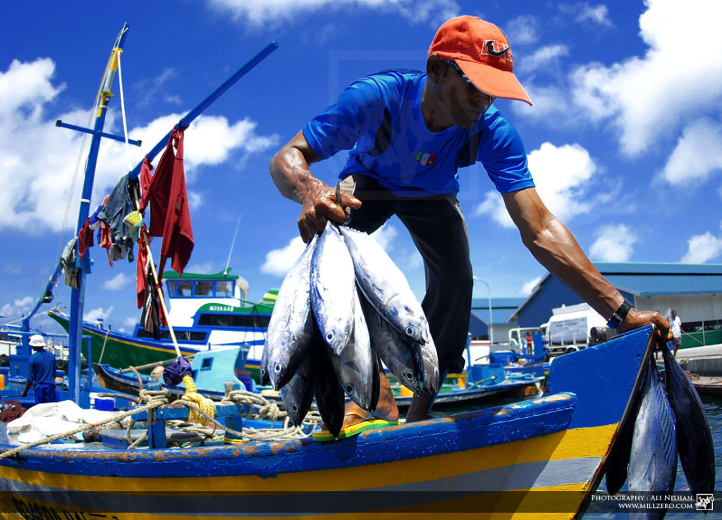 Dirigentes de los pescadores artesanales: “Derrocamos a la bancada de las 7 familias”