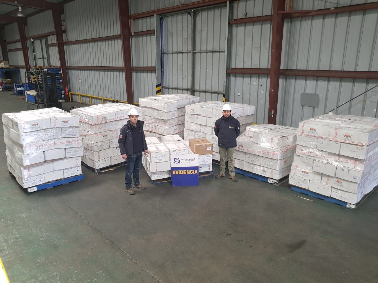 Más de 2 mil kilos de centolla elaborada incautó Sernapesca a planta pesquera de Puerto Edén