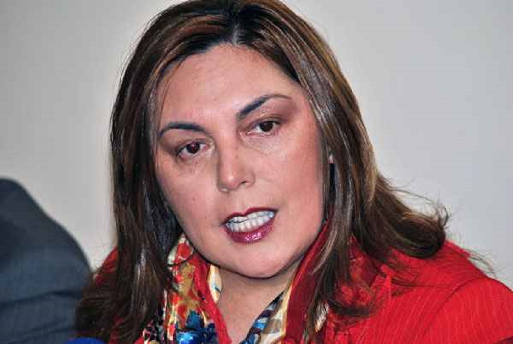 Anahí Cardenas ex Alcaldesa de Torres del Paine: «Ellos hablan de sustentabilidad, pero les interesa sólo lo económico»