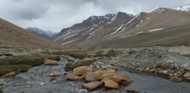 Aprueba Estrategia Nacional por la Biodiversidad en Chile para los próximos decenios