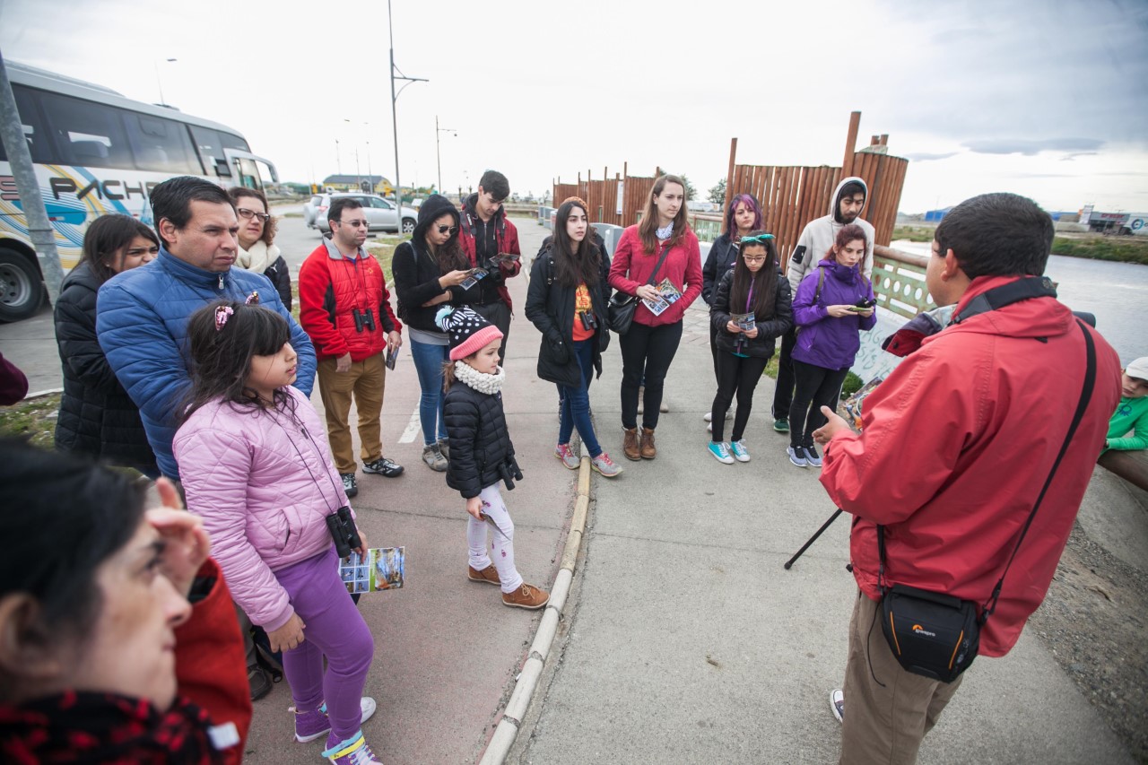 Niños y adultos se maravillaron con avistamiento de aves en Punta Arenas en el inicio de Escuela de Temporada