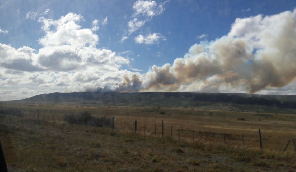 Decretan alerta amarilla por incendio forestal camino a Monte Aymond