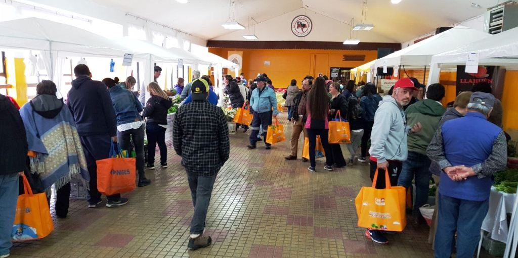 Más de 1.000 visitantes en Feria Saludable organizada por la Municipalidad de Punta Arenas