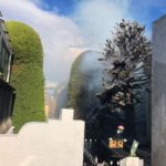 Desconocidos queman otro ciprés en el cementerio municipal de Punta Arenas