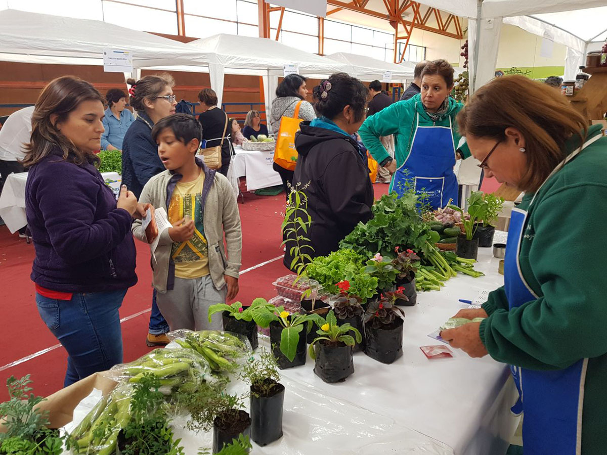 Feria de Frutas, verduras y plantas regionales convocó a un millar de vecinos