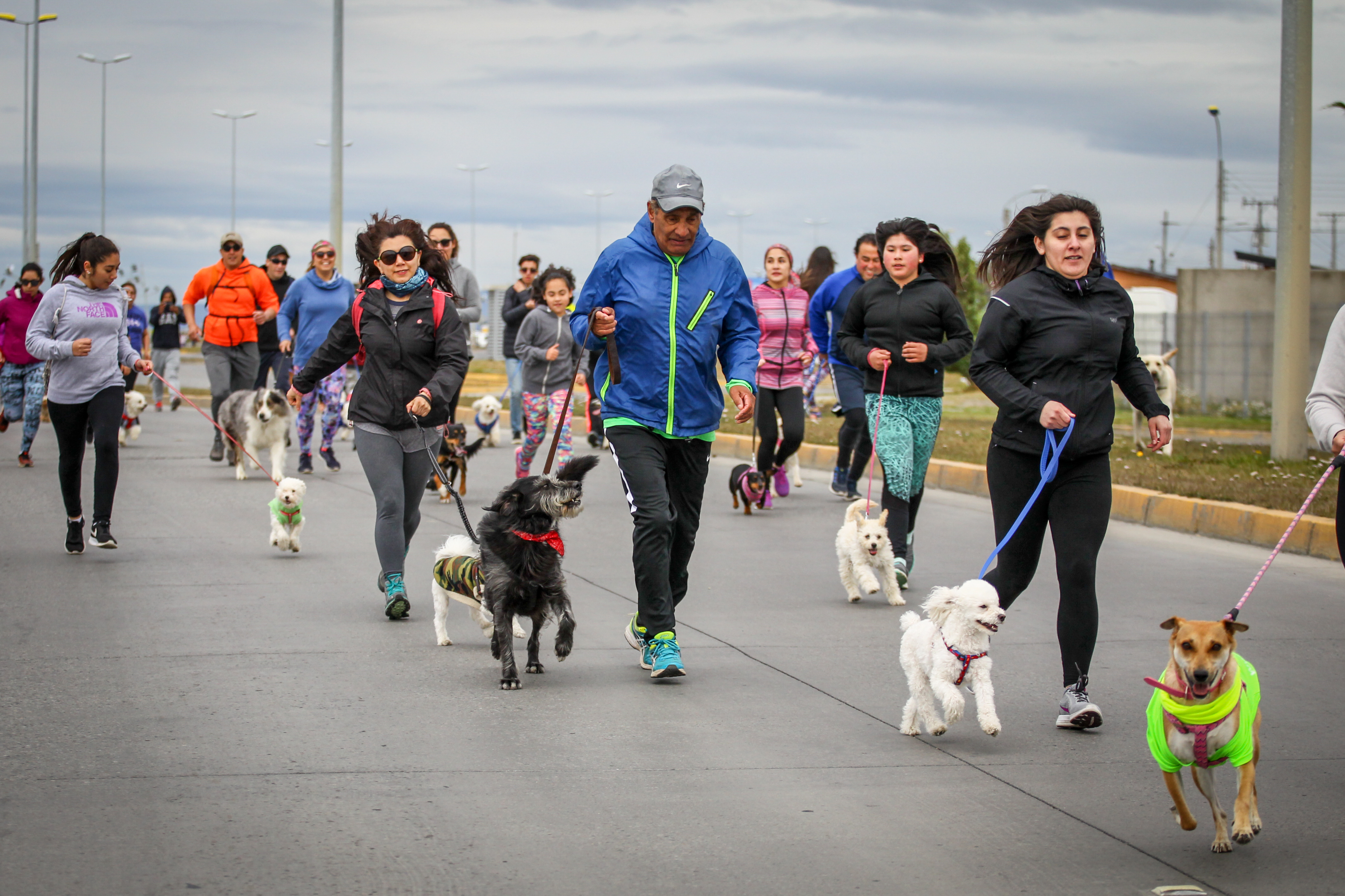 Superando meta de 2016, se desarrolló en Punta Arenas segunda edición de «Corre junto a tu Can»