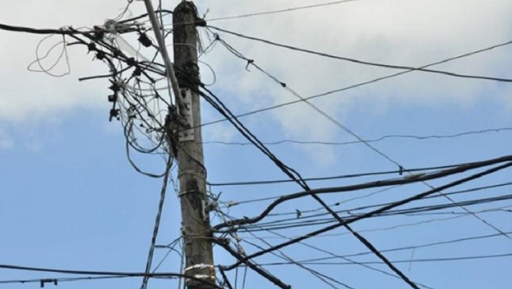 Un ave que chocó contra tendido eléctrico dejó sin energía a 15 poblaciones de Punta Arenas