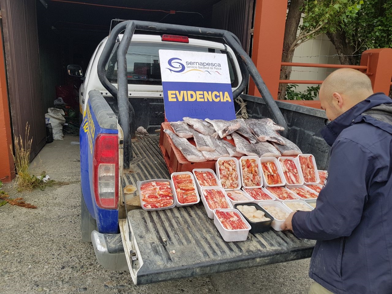 Incautan productos de mar ilegales en Aeropuerto de Punta Arenas