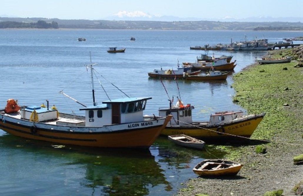 Dirigentes de la pesca artesanal se pronuncian sobre nuevas autoridades del sector Pesca y Acuicultura