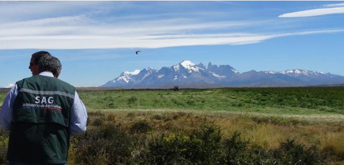 SAG Magallanes reitera convocatoria para proyectos de sustentabilidad de suelos agropecuarios