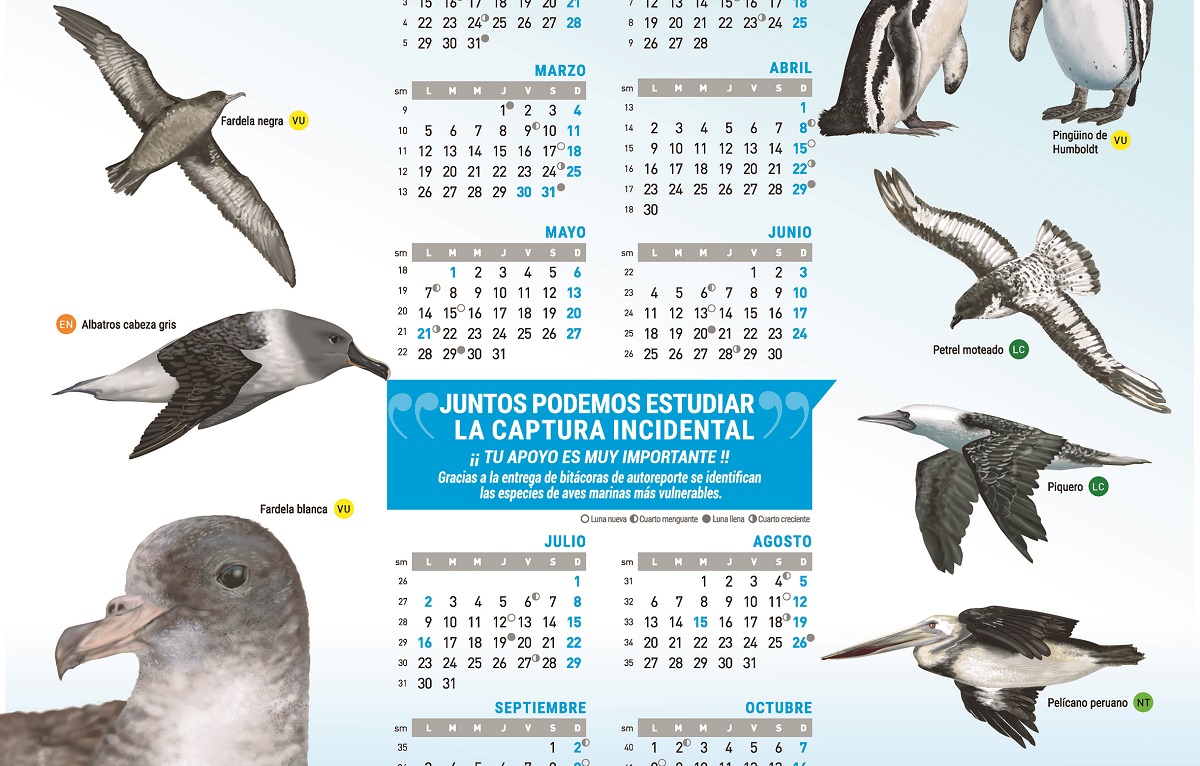 IFOP inicia Campaña de difusión con 6.500 Calendarios 2018