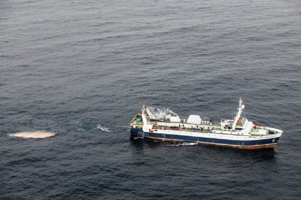 Alertan que pesca de krill perjudica biodiversidad en mares antárticos