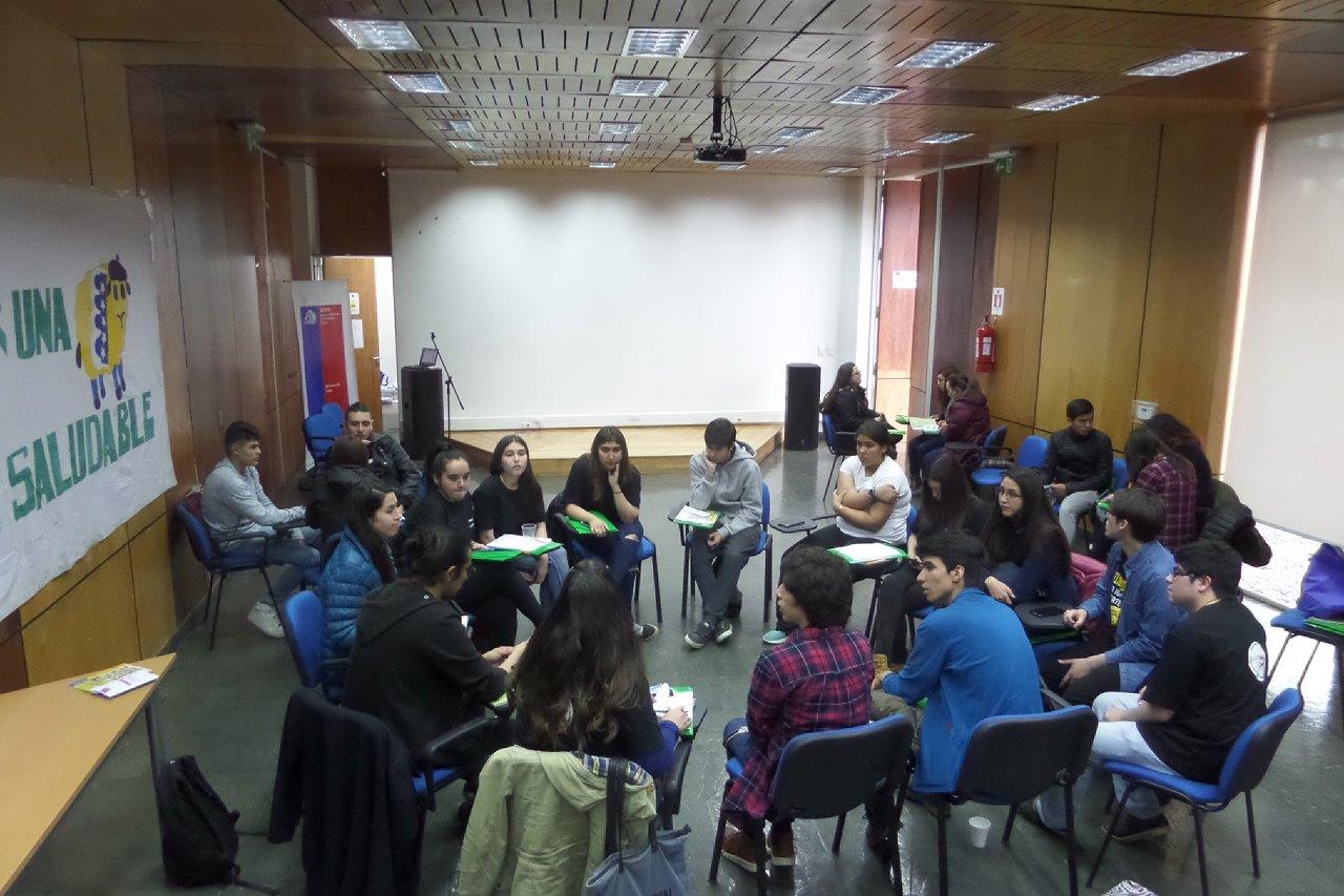 Representantes de Punta Arenas, Natales, Porvenir y Puerto Williams debatieron sobre Salud Joven en Magallanes