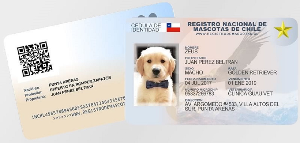 Concejala Veronica Aguilar y la Junta de Vecinos Poeta Grimaldi, organizan jornada de inscripción para mascotas