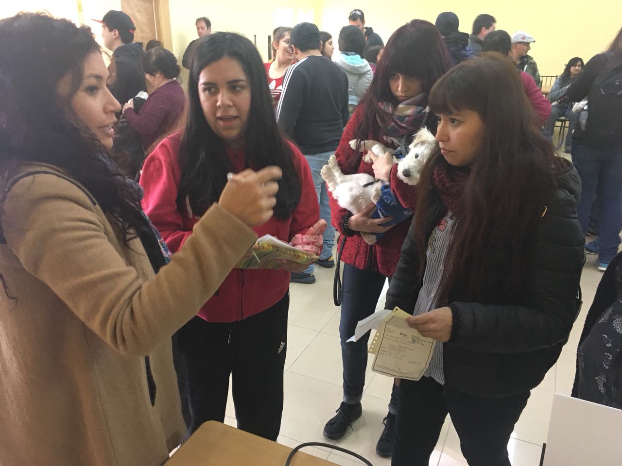 Exitosa jornada de inscripción de mascotas en Punta Arenas