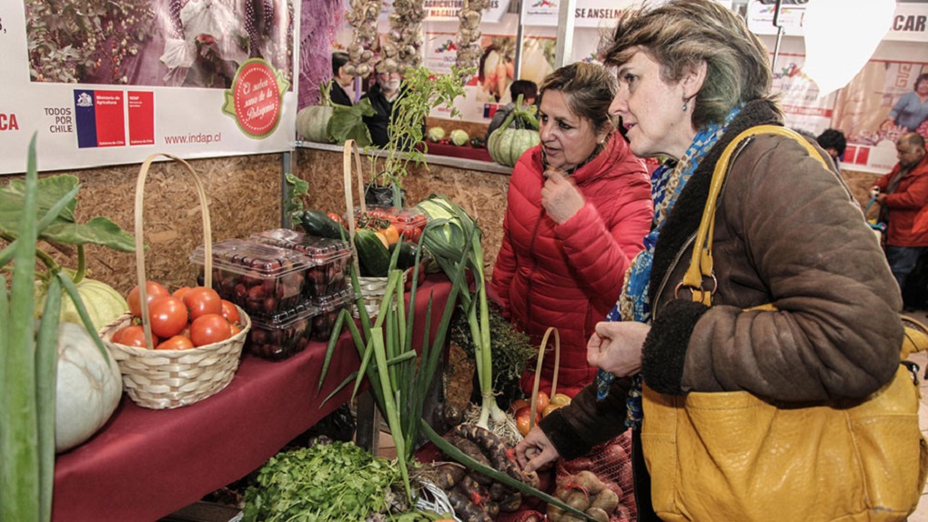 Continúa este fin de semana la Expo Mundo Rural 2018 en Punta Arenas