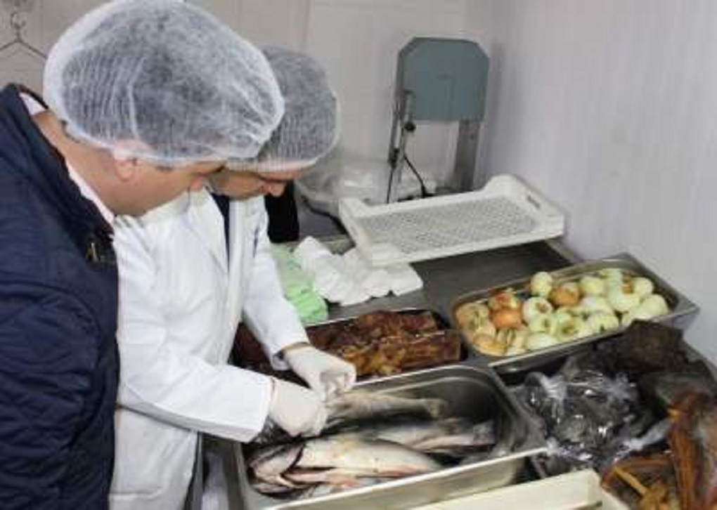 Se intensifican fiscalizaciones previas a Semana Santa en Punta Arenas