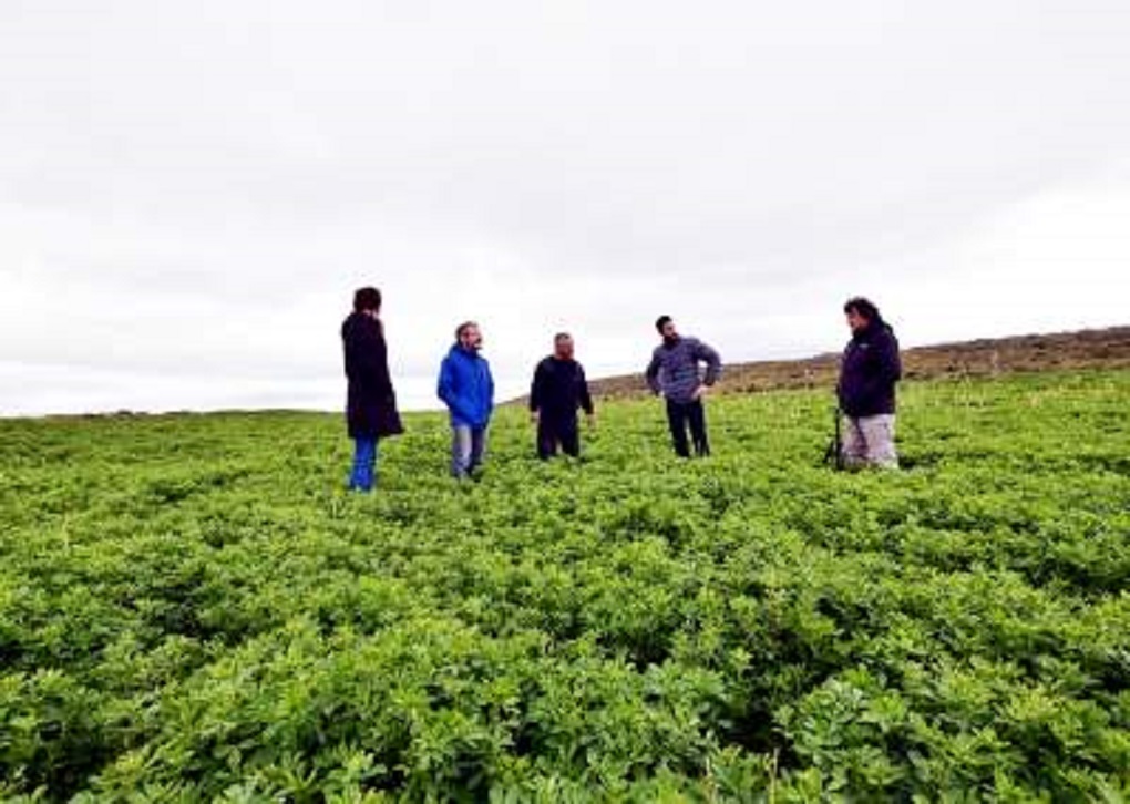 Abren postulaciones a fondos concursables para agricultores y ganaderos de Magallanes