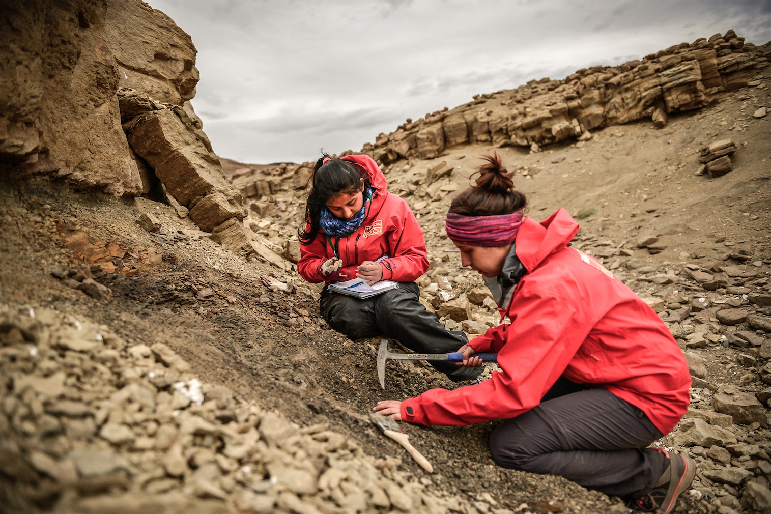 Hallan restos de un dinosaurio semi-articulado en Cerro Guido, región de Magallanes