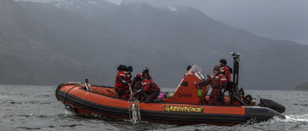 Greenpeace investiga y documenta impacto de la industria salmonera en las aguas de Magallanes